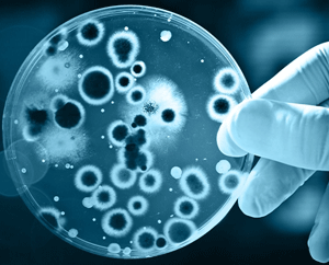 Microbiology